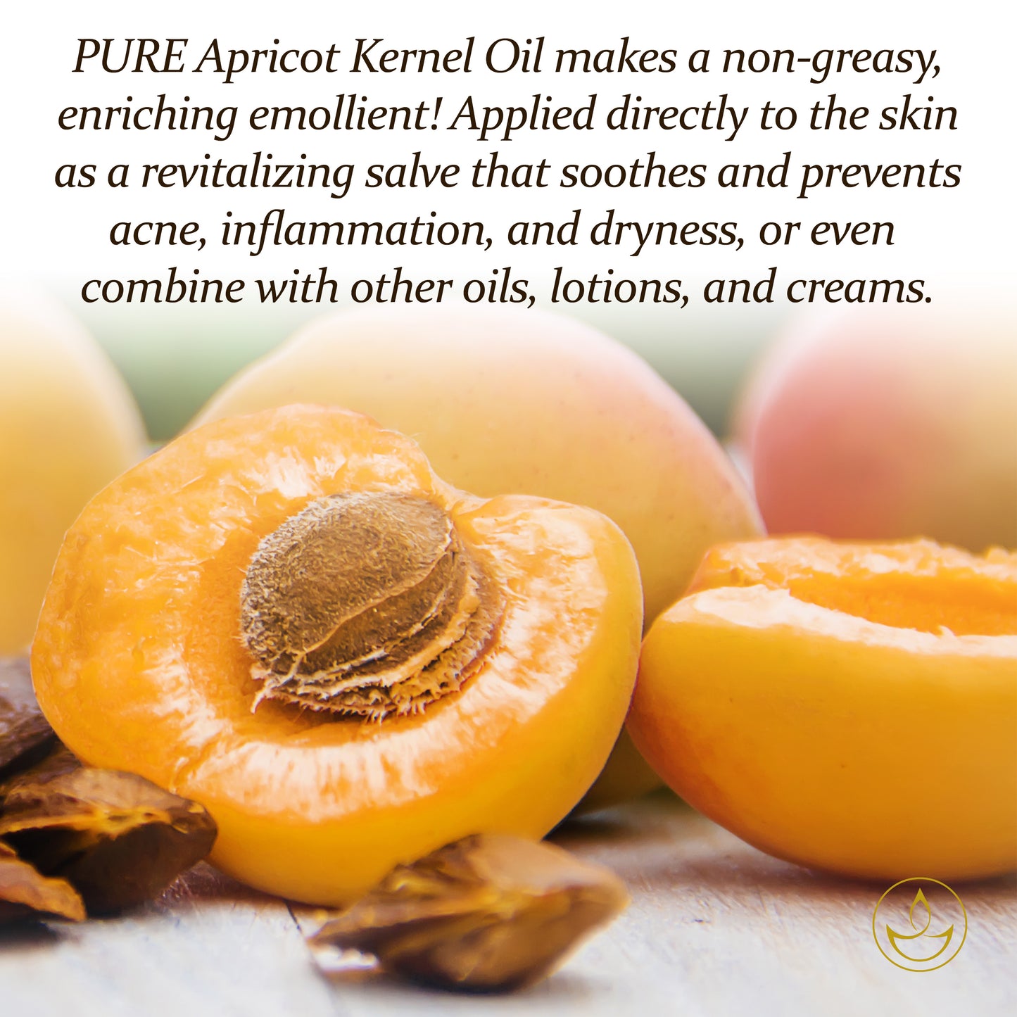 PURE Apricot Kernel Oil - 100ml Carrier Oil with Pipette