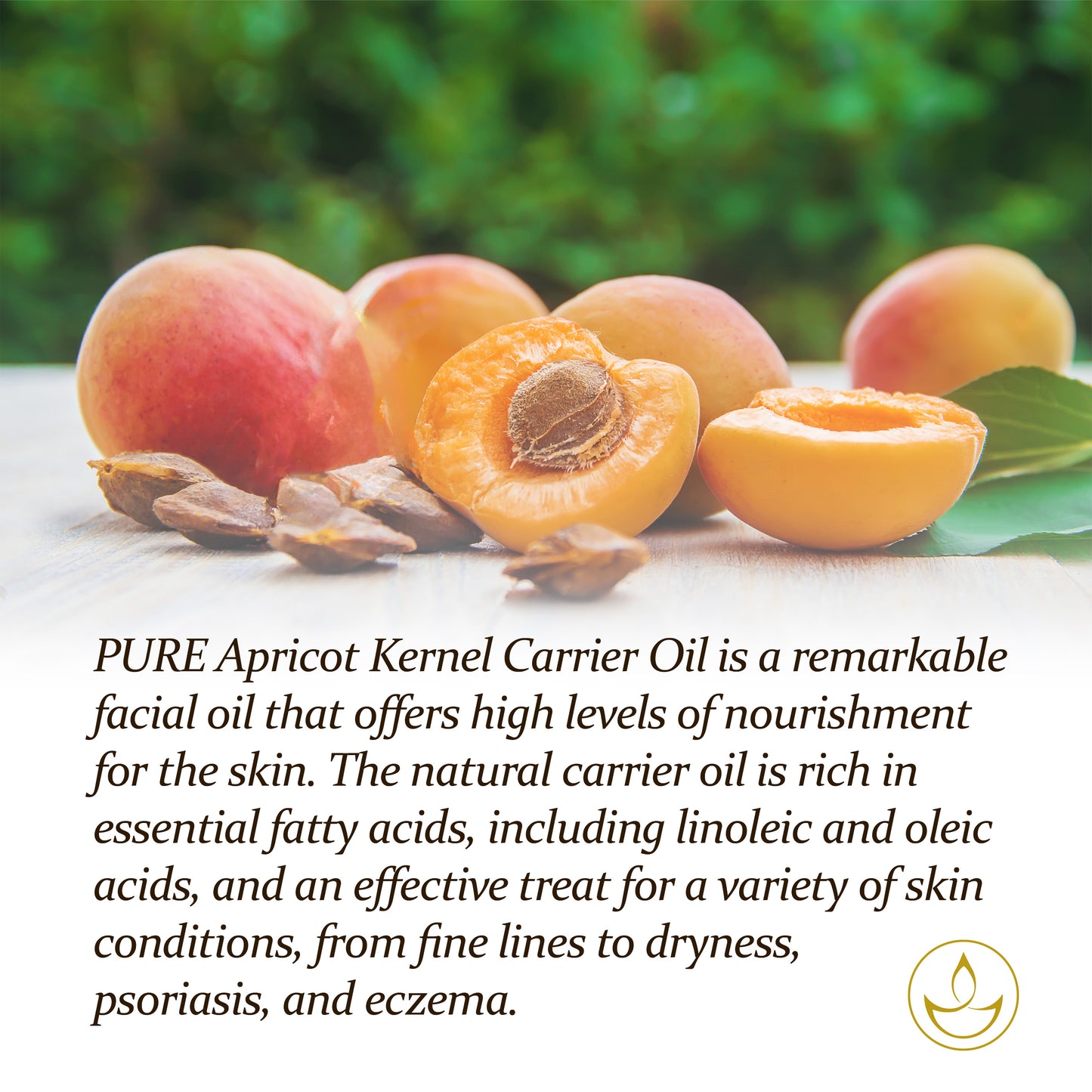 PURE Apricot Kernel Oil - 100ml Carrier Oil with Pipette