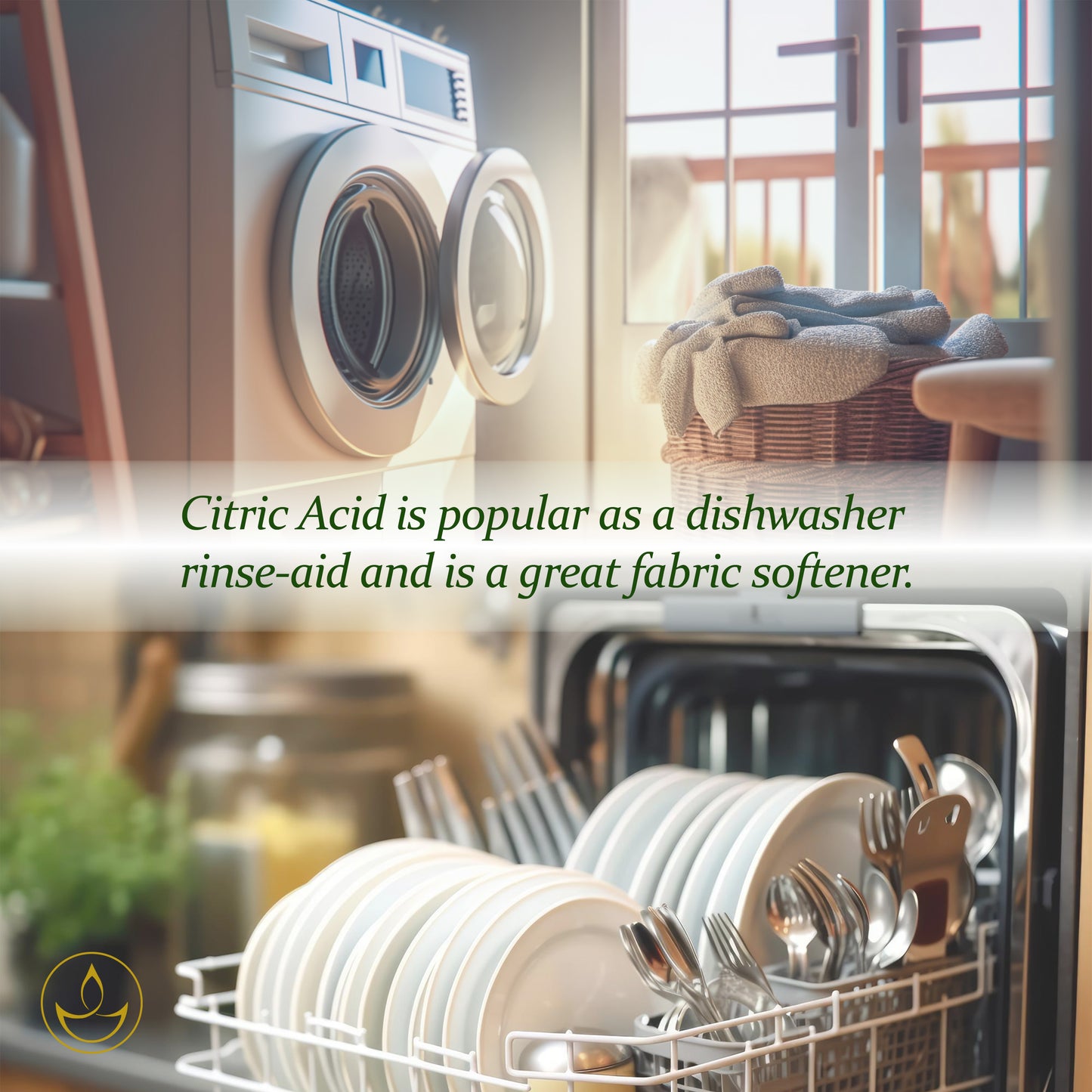 Citric Acid - Monohydrate - 1KG