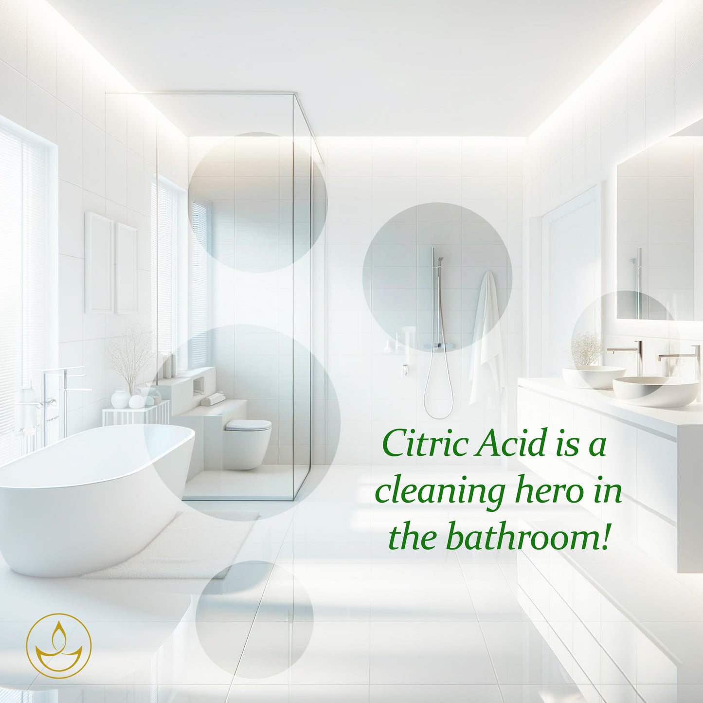 Citric Acid - Monohydrate - 1KG