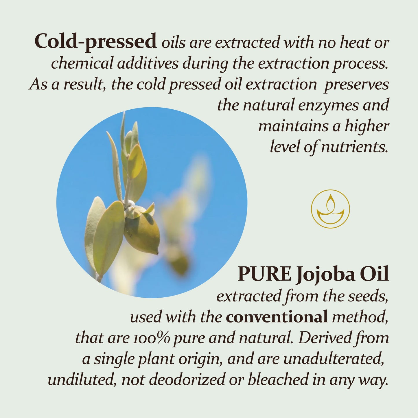 PURE Jojoba Oil - 200ml Carrier Oil with Dispenser Pump